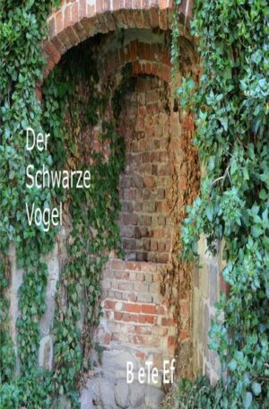 Die auf mehrere Bände angelegte Saga spielt in verschiedenen Welten zu unterschiedlichen Epochen und verknüpft eine Vielzahl von Handlungssträngen, die verschachtelt ineinander zusammenlaufen. Dabei changiert der Roman zwischen verschiedenen Genres: Fantasy, Science Fiction und Horror. Im Mittelpunkt und Haupthandlungsstrang des ersten Teils der Saga stehen Edmund und Emily, ein Geschwisterpaar aus der Blutlinie der O'Mordha, das in der Schule gehänselt und gemobbt wird. Auf den Spuren ihrer Familiengeschichte geraten sie unversehens in eine andere Raum- Zeit- Dimension, eine Parallelwelt, die unserer Welt einst zivilisatorisch und technologisch weit voraus war, bevor eine Verkettung unglücklicher Ereignisse deren Zivilisation und nahezu jedes dortige Leben auslöschte. Zurück blieb eine lebensfeindliche Welt voller Schrecken und Gefahren, die so manches Geheimnis hütet und für das Geschwisterpaar einige Abenteuer bereithält, an denen es schließlich über sich selbst hinauswächst. Leseprobe: Guten Morgen!”, rief der Klassenlehrer, der soeben den Klassenraum betrat, seiner Schulklasse etwas missmutig entgegen, als wollte er diese dafür verantwortlich machen, sich ihr zu so früher Stunde widmen zu müssen. Herr Dr. Jansen war im wahrsten Sinne des Wortes ein Morgenmuffel. Bis zur Mittagspause war er unausstehlich, doch auch danach war mit ihm wenig anzufangen. Er war ein Nachtmensch, der erst gegen Abend aus sich herauskam und gerne die Nacht zum Tage machte. Unter den Schülern kursierte deshalb über ihn der Spitzname ,,der Vampir”, und in der Tat wies sein Äußeres entfernte Ähnlichkeiten mit dem ,,Herrn der Finsternis” auf.