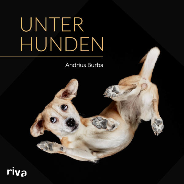 Der Weltbestseller Hunde unter Wasser hat einen regelrechten Hype um ungewöhnliche Tierfotos ausgelöst. Der litauische Fotograf Andrius Burba hat einen ganz eigenen Blickwinkel gefunden, um Tiere aus einer unbekannten Perspektive zu zeigen: Er fotografiert sie von unten durch eine Glasplatte. So werden Pfoten, Tatzen, Krallen, die weichen Bäuche und Schwänze, aber auch, aus neuer Perspektive, die Gesichter der Tiere sichtbar. Mit seinem ersten Bildband Unter Katzen ist Andrius Burba bereits sehr erfolgreich. In diesem zweiten Buch zeigt er nun Hunde verschiedenster Rassen von unten, vom wuscheligen Pudel über den schwerfälligen Pitbull bis zur eleganten Dogge. Dieser hochwertige 4-farbige Bildband mit Kultpotenzial darf in keinem Hundehaushalt fehlen!