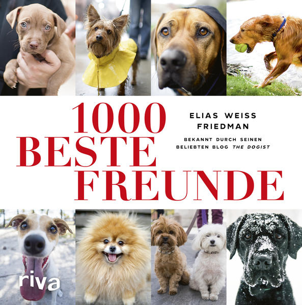 1000 beste Freunde vereint einzigartige Bilder und Storys von über 1000 Hunden aus New York und dem Rest der Welt. Auf der Straße, beim Spielen im Park oder als Spürhund bei der Arbeit. Die Bilder sind so vielfältig wie das Leben der Hunde selbst. Elias Weiss Friedman, alias The Dogist, hat mit diesem Buch eine inspirierende Sammlung außergewöhnlicher Hunde-Porträts zusammengestellt. Sie zeigen Welpen, große Hunde, bellende Hunde, Hunde in Kostümen, mit Brillen oder mit Schuhen. Je nach Besonderheit gibt es zudem Fotografien, bei denen der Fokus ganz auf dem Detail liegt: Zungen, Schnauzen, offene Augen, geschlossene Augen oder Ohren. Jede Aufnahme in diesem Bildband erzählt eine besondere Geschichte, die Sie entweder in Staunen versetzt, zum Lachen bringt oder im Herzen berührt.