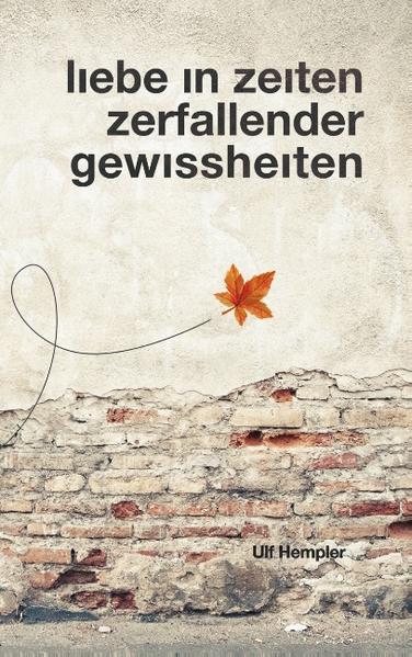 Am Tag nach dem Mauerfall verliebt sich der Westdeutsche Micha in seine Brieffreundin Marie aus Eisenach. Es könnte eine wunderbare Zukunft für die beiden beginnen, wenn nicht ihre Umgebung eine ausgeprägte Abneigung gegen Leute aus dem anderen Teil Deutschlands entwickelt hätte. Am Tag der Währungsunion fährt Micha nach Berlin, um Marie zurückzugewinnen. Im Kontext einer Liebesgeschichte entwirft der Autor ein Panorama der deutschen Provinz zu beiden Seiten des Eisernen Vorhangs.