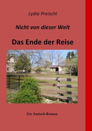 Markus Troyer und Lena Graber, die sich in Pennsylvania County kennengelernt haben, trennen sich trotz ihrer großen Zuneigung zueinander wieder. Unabhängig voneinander werden sie sich darüber klar, dass sie eigentlich zusammengehören. Bevor Markus den festen Vorsatz, Lena in ihrer Heimat zu suchen, in die Tat umsetzen kann, erleidet die Familie seiner Schwester aufgrund eines Tornados große Verluste. Markus eilt zu Hilfe. Hat die Liebe zwischen Markus und Lena noch eine Chance?