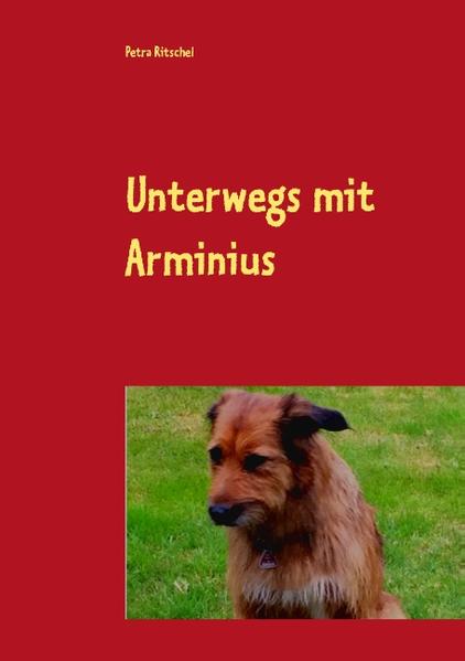 Der Hund, den Melina im Keller findet, behauptet Arminius, ein römischer Feldherr mit germanischen Wurzeln, zu sein. Er bittet sie, mit ihm einen Weg zurück ins Jahr 9 nach Christus zu suchen. Gleichzeitig müssen sie auch seine menschliche Gestalt finden, die er unfreiwillig mit dem Hund getauscht hat. Auf ihrer aufregenden Reise in die Vergangenheit treffen sie auch einige historische Persönlichkeiten. Doch nicht nur Arminius ist aus der Vergangenheit gekommen. Der römische Schreiber Lucius wurde beauftragt, den Germanen zu suchen und erlebt dabei eine abenteuerliche Zeit. Als sie endlich aufeinander treffen, kommt alles ganz anders.