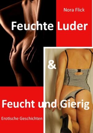 In diesem Buch vereint Nora Flick ihre bisher verfassten erotischen Kurzgeschichten aus den beiden Büchern "Feuchte Luder" und "Feucht und Gierig" zu einem Band. Nora Flick versteht es den sexuellen Akt in den unterschiedlichsten Situationen ausschmückend darzustellen und mit einer direkten Wortwahl in Szene zu setzen. Die tabulosen Geschichten sind vielseitig und behandeln unterschiedliche sexuelle Themen und Abenteuer.