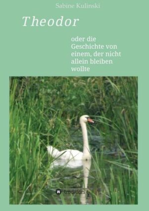 Theodor, ein Mann mittleren Alters, gerät durch den Tod seiner Mutter, mit der er sein ganzes Leben zusammen verbracht hat, aus dem Gleichgewicht. Auf der Suche nach jemandem, der Mutters Platz einnehmen kann, wird er immer wieder Opfer seiner eigenen Fantasien und Schwärmereien, bis ihm, durch einen Zufall, die Obdachlose Rita über den Weg läuft, die sich von Theodor nach Hause einladen lässt, ohne zu wissen, dass es kein Zurück mehr gibt.