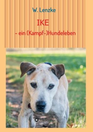 IKE - ein (Kampf-)Hundeleben | Bundesamt für magische Wesen