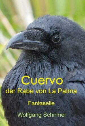 Cuervo: der Rabe von La Palma | Bundesamt für magische Wesen