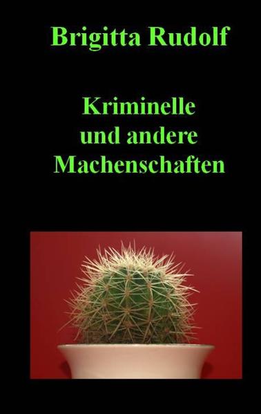 Kurze Kriminalgeschichten, nicht ganz ernst gemeint. Auch für Nicht-Krimi-Leser geeignet.