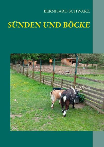 "Sünden und Böcke" spielt in einem mitteleuropäischen Land. Zum Umfeld gehören Medien, Ministerien, Marketingstrategien. Die Zeit ist die Gegenwart. Dem Titel entsprechend geht es um Verfehlungen, also Sünden, und um Menschen, denen solche Verfehlungen - zu Recht oder zu Unrecht - in die Schuhe geschoben werden, also um Sündenböcke. Die Welt ist ja bekanntlich schlecht. Und insbesondere die Politik. Hört und liest man jeden Tag. So auch in dieser Geschichte: Eine teure Maschine zur Verbesserung der Abfallentsorgung ist in eine zentralasiatische Diktatur geliefert worden, und wahrscheinlich ist dabei nicht alles mit rechten Dingen zugegangen. Politiker und Politikberater sind ins Visier der kritischen Presse geraten. Für die Medien und einzelne Mitarbeiter ist das auch eine Chance, sich zu profilieren. Beteiligte Unternehmen und Politiker haben Interesse, dass nicht alles ans Tageslicht kommt. Die Öffentlichkeit bekommt wieder einmal ein Bild vermittelt, das den gängigen Vorurteilen entspricht. Aber sollte das Bild trügen? Gibt es nicht nur Gute und Böse auf den jeweils richtigen Seiten? Die Wahrheit hat einen schillernden Glanz, wenn sie von verschiedenen Seiten angestrahlt wird. Und überhaupt: Man darf nicht alles so ernst nehmen.