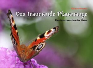 Die Fotografien und Texte, besonders aber die Einfühlungsgabe der Künstlerin, machen diesen Bildband zu einem ganzheitlichen Naturerlebnis. Valerie Forster betrachtet nicht nur das Äußere, sie dringt zum Inneren der Geschöpfe vor. So findet sie Weisheit in allem, was sie aufmerksam beobachtet. Unscheinbares wird in den fantasievollen Fotografien zum Besonderen. Tiere und Pflanzen lassen uns in den Parabeln an ihren Träumen und Sorgen teilhaben. So, wie die Künstlerin uns die Natur nahebringt, können wir nicht anders, als Ehrfurcht vor allem Leben empfinden.