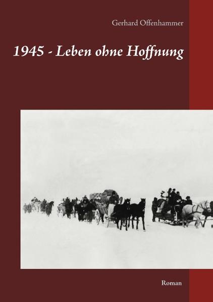 Schon im Alter von dreizehn Jahren muss der deutschstämmige Albert Barley seine Heimatstadt Lodz in Polen verlassen, um vor den sowjetischen Truppen zu fliehen. Gemeinsam mit seiner Mutter, seinen Großeltern und seinem Hund Nero macht er sich auf eine unfreiwillige Reise, auf der er Schreckliches erlebt. Menschen, die er auf seiner Flucht kennenlernt, teilen das gleiche Schicksal. Auch ihre Erlebnisse finden in diesem ergreifenden Roman ihren Platz. Gerhard Offenhammer schreibt über die schrecklichen Tage und Wochen im Kriegsjahr 1945, die die Welt veränderten. Über die Wirklichkeit, die sonst in Vergessenheit gerät.