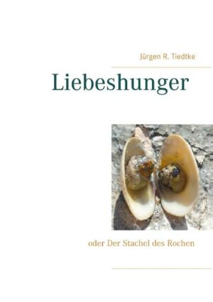 Christian von der Aue, ehemals Kriegsberichterstatter des Irakkriegs, jetzt Stadtteiljournalist, soll eine wahre und spannende hamburgische Familiengeschichte ausfindig machen und zu Papier bringen. Er wird fündig und stößt auf eine vierköfpige, erfolgreiche und äußerlich bieder erscheinende Familie. Moritz, der Vater, ist Direktor eines stadtbekannten Wirtschaftsgymnasiums und Autor, Mutter Anna eine international erfolgreiche Architektin und die beiden Kinder, Arien und Friederike studieren in Tübingen und Paris. Bei seinen Recherchen stößt der Journalist auf viele Ungereimtheiten, entdeckt Geheimnisse und Lebenslügen. Seine Nachforschungen katapultieren den auftraggebenden Zeitungsverlag in Dimensionen, die kaum zu überwinden sind. Intrigen, Verleumdungen, Intoleranz, Lügen, eigenwilliger Sex, Treue, Verzweiflung, Glück und Selbstmord bestimmen den Rahmen. Werden die unübersehbaren Ereignisse zur Makulatur, weil Christian die Rätsel nicht knacken kann?