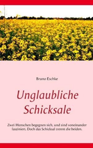 Auf einem Fest lernt ein Mann seine Traumfrau kennen. Bevor er dieses wunderbare Wesen näher kennenlernen kann, verschwindet sie so schnell wie sie aufgetaucht ist. Sie lässt ihn überhaupt nicht mehr los und er beginnt nach ihr zu suchen, ohne im Ansatz zu ahnen, auf was für eine abenteuerliche Reise er sich damit begibt. Seine Suche führt ihn um den halben Erdball, doch erst geschehen merkwürdige Vorfälle, und es gelingt ihm, sie wiederzufinden. Doch die Zweisamkeit dauert bloß eine Nacht, und sie wird entführt. Erneut beginnt seine Suche, und die geheimnisvolle Frau fällt Piraten in die Hände. Wird es ihm ein zweites Mal gelingen, sie wiederzufinden?