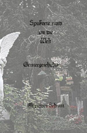 Gibt es Geister? In der heutigen Zeit gehen immer mehr Menschen in die Spiritualität, sie sind neugierig was nach dem Tode passiert. Sie wollen mit den Seelen in Kontakt treten. In diesem Buch schildere ich die meistgesuchten Spukorte dieser Welt. Jeder dieser Orte hat seine eigene Geschichte, kommen sie mit mir mit in die fantastische Welt der Geister.