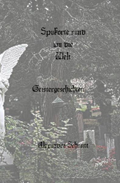 Gibt es Geister? In der heutigen Zeit gehen immer mehr Menschen in die Spiritualität, sie sind neugierig was nach dem Tode passiert. Sie wollen mit den Seelen in Kontakt treten. In diesem Buch schildere ich die meistgesuchten Spukorte dieser Welt. Jeder dieser Orte hat seine eigene Geschichte, kommen sie mit mir mit in die fantastische Welt der Geister.