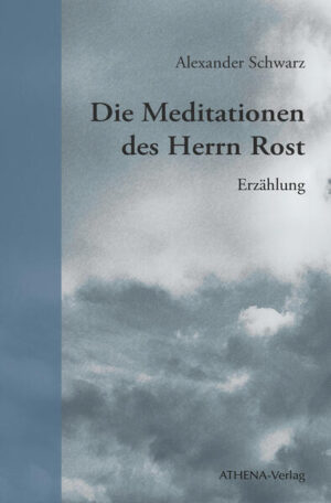 Der Philosophielehrer Herr Rost führt ein recht angepasstes und routiniertes Leben, bis ein plötzliches Ereignis seinen gewohnten Alltag durcheinanderbringt. Der Suizid eines kleinen Schülers, der ihn noch kurz zuvor um Hilfe gebeten hatte, stürzt ihn in eine existentielle Krise, aus der er sich schreibend zu befreien versucht. Die (sechs) Meditationen, die er im Verlauf der Handlung verfasst, sind ein Versuch, das eigene Bewusstsein, die Welt, die ihn umgibt, sowie die eigene wilde Traurigkeit zu verstehen, die seit dem Ereignis auf alles hinabgesunken ist. Herr Rost beginnt sein Leben zu hinterfragen und findet dabei immer mehr über sich selbst heraus, bis sich auf einmal alles verändert.