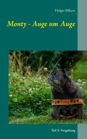 Eine fremde rothaarige Frau lenkt Lily Grabers Aufmerksamkeit auf sich. Viel zu groß ist ihr Interesse an dem blinden Mops Monty. Obwohl bei Lily die Alarmglocken schrillen, verliert sie die Fremde aus den Augen. Mit ihr ist auch Monty wie vom Erdboden verschwunden. Derweil sieht die Tiermafia ihre Geschäfte in Deutschland durch ständige Aktionen verschiedener Tierschützer gefährdet. Sie schickt eine Gruppe Schläger los, um die bekannten Störenfriede mit allen Mitteln aus dem Verkehr zu ziehen. Mit rabiater Gewalt wird der Anführer der ehemaligen Gruppe "Frydoks" zum Schweigen gebracht. Auch Lily steht auf der schwarzen Liste dieser Leute. Ungewollt hat sie die Aufmerksamkeit der Tiermafia auf sich gezogen. Eine Freundin bittet sie, sich etwas mehr zurückzuziehen, verschweigt Lily jedoch die akute Gefahr, in der sie sich bereits befindet.