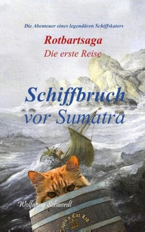 Am 26. November 1653 setzt der kleine, rote Kater erstmals seine Pfoten auf die Planken eines großen Schiffes und tritt damit seine erste Reise als Schiffskater an. Dabei lernt er nicht nur die Tücken und Gefahren des Bordlebens kennen, sondern trifft auch auf die Klabautermiez und den Fliegenden Holländer der letztendlich das Schicksal des Schiffes besiegelt. Nach dem Schiffbruch vor Sumatra schlägt sich Rotbart mit anderen Mitgliedern der befellten seefahrenden Zunft durch den Dschungel der riesigen Insel und begegnet dabei nicht nur seinen wilden Artgenossen. Lebensgefährliche Abenteuer, wilde Streiche, opulente Gelage und natürlich die obligatorischen Besuche in den Katzenspelunken prägen das Leben des Katers, der bereits im Laufe seiner ersten Reise zu einem der legendären Schiffsfelinen wird, deren Heldentaten in den Katzentavernen der Welt die Runde machten.