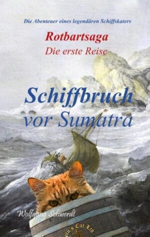 Am 26. November 1653 setzt der kleine, rote Kater erstmals seine Pfoten auf die Planken eines großen Schiffes und tritt damit seine erste Reise als Schiffskater an. Dabei lernt er nicht nur die Tücken und Gefahren des Bordlebens kennen, sondern trifft auch auf die Klabautermiez und den Fliegenden Holländer, der letztendlich das Schicksal des Schiffes besiegelt. Nach dem Schiffbruch vor Sumatra schlägt sich Rotbart mit anderen Mitgliedern der befellten seefahrenden Zunft durch den Dschungel der riesigen Insel und begegnet dabei nicht nur seinen wilden Artgenossen. Lebensgefährliche Abenteuer, wilde Streiche, opulente Gelage und natürlich die obligatorischen Besuche in den Katzenspelunken prägen das Leben des Katers, der bereits im Laufe seiner ersten Reise zu einem der legendären Schiffsfelinen wird, deren Heldentaten in den Katzentavernen der Welt die Runde machten.