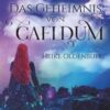 »Wenn dein Schicksal dich herausfordert, wirst du seinem Ruf folgen?« Die schwebende Himmelsstadt Caeldum ist das Zuhause der jungen Hexe Arina. Als Waise und Ausgestoßene fristet sie ihr Leben mit dem Blick auf die verheißungsvolle Akademie der Arkanen Künste, dem einzigen Ort, an dem sie ihr Glück zu finden glaubt. Doch die Aufnahmeprüfung ist schwierig und bei der Beschwörung ihrer Quelle, einem Wesen von hoher magischer Kraft, geht einiges schief. Plötzlich mit einem verführerischen Incubus namens Rheon verbunden, sieht sich Arina bald nicht nur düsteren Geheimnissen und unbekannten Bedrohungen gegenüber, sondern muss auch ihr eigenes Schicksal erfüllen ... Gesamtausgabe.