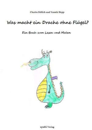 Ein Drache ist nur mit Stummelflügeln geboren worden. Seine Schulkameraden verspotten und hänseln ihn darum. Zum Weinen läuft er in den Wald. Seine Beschäftigung bein Eintrittskartenlochen am Eingang zum Drachenland wird abgeschafft. Er fühlt sich überflüssig. Doch eines Tages entdeckt er im Wald ein paar Menschen, die Heißluftballon fahren wollen. Ihr Brenner ist kaputt, und darum kommt ein kleiner Drache wie gerufen. Nun kann auch er durch die Luft fliegen, und sogar länger als seine Brüder! Die Geschichte endet mit Vorschlägen für weitere Abenteuer des Drachen, dem nun die Welt offensteht. Jedes Kind kann auf den letzten Seiten die Geschichte weitererzählen und weitermalen und damit sein Buch zu einem Einzelstück machen.