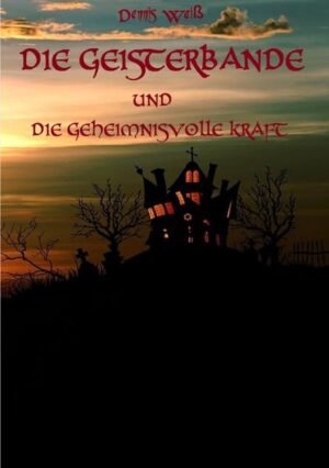 Tjalf ist ein typischer achtjähriger, der mit seinen Eltern auf ein Schloss nach Brachenfeld ziehen muss. In diesem Schloss spukt es. Eines Nachts hört er Geräusche, die ihn zu Peter führen, einem Geisterjungen, der in einem Spiegel gefangen gehalten wird. Was Tjalf nicht ahnt, ist seine Schuld an der Befreiung eines Poltergeistes, der dann sein Unwesen treibt...