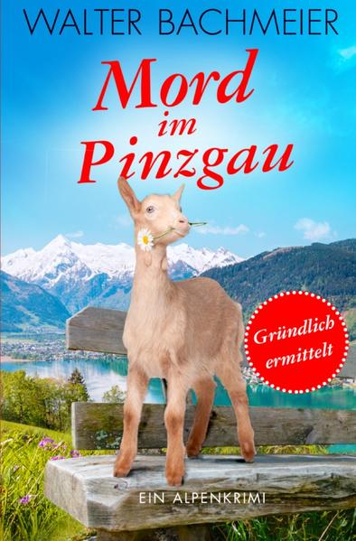 Der vierte Fall für Inspektorin Tina Gründlich Tina gibt gemeinsam mit Bärbel in ihrem Garten ein Sommerfest. Dank des guten Wetters in den Bergen des Salz-burger Landes sind alle Gäste bester Laune. Bis die Nach-richt über einen neuen Fall die beiden Ermittlerinnen erreicht. Die Frau des angesehenen Staatsanwaltes Vogt hat augenscheinlich Selbstmord begangen. Schnell wird klar, dass an der Geschichte etwas faul ist. Frau Vogt hatte nicht nur keinen Grund sich umzubringen, sie wurde offenbar auch noch erpresst. Als eine zweite Tote gefunden wird, verhärten sich die Indizien. Und dann geraten Tina und Bärbel selbst in die Schusslinie eines verzweifelten Mörders ...