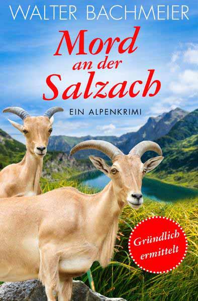 Inspektor Tina Gründlich / Mord an der Salzach Gründlich ermittelt | Walter Bachmeier