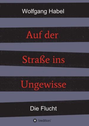 Zwei Jugendfreunde, durch Zufall gemeinsam im Einsatz vor ihrer Heimatstadt Ostrau, beschließen, als sowjetische Truppen die Stadt besetzen, für sich den Krieg zu beenden. In Zivil wollen sie sich zu ihren Verwandten durchschlagen. Ihr Vorteil ist, dass sie die tschechische Sprache perfekt beherrschen.