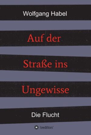 Zwei Jugendfreunde, durch Zufall gemeinsam im Einsatz vor ihrer Heimatstadt Ostrau, beschließen, als sowjetische Truppen die Stadt besetzen, für sich den Krieg zu beenden. In Zivil wollen sie sich zu ihren Verwandten durchschlagen. Ihr Vorteil ist, dass sie die tschechische Sprache perfekt beherrschen.