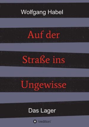 Nach der geglückten Flucht und Heimkehr zu seinen Eltern, bleiben der Familie nach dem Kriegsende nur noch wenige ruhige Tage. Dann wird Hardi, der Erzähler, abgeholt und für mehrere Monate in einem Lager seiner Heimatstadt Ostrau interniert. Hier, in der Stube 11, ist ein jeder bestrebt im Lageralltag unbeschadet über die Runden zu kommen. Die erzwungene Gemeinschaft seltsamster Charaktere wächst durch unerwartete und außergewöhnliche Ereignisse allmählich zusammen. Hier im Lager trifft Hardi nicht nur seine Jugendliebe, sondern auch seinen alten Freund wieder, der zufällig eingeliefert wird. Endlich wird das Lager aufgelöst und nach glücklichem Wiedersehen seiner Eltern, kommt es zur Abschiebung zu einem unbekannten Ziel in Deutschland.