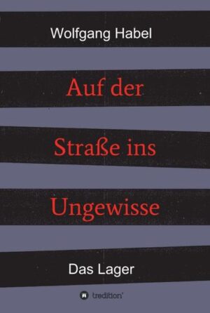 Nach der geglückten Flucht und Heimkehr zu seinen Eltern, bleiben der Familie nach dem Kriegsende nur noch wenige ruhige Tage. Dann wird Hardi, der Erzähler, abgeholt und für mehrere Monate in einem Lager seiner Heimatstadt Ostrau interniert. Hier, in der Stube 11, ist ein jeder bestrebt im Lageralltag unbeschadet über die Runden zu kommen. Die erzwungene Gemeinschaft seltsamster Charaktere wächst durch unerwartete und außergewöhnliche Ereignisse allmählich zusammen. Hier im Lager trifft Hardi nicht nur seine Jugendliebe, sondern auch seinen alten Freund wieder, der zufällig eingeliefert wird. Endlich wird das Lager aufgelöst und nach glücklichem Wiedersehen seiner Eltern, kommt es zur Abschiebung zu einem unbekannten Ziel in Deutschland.