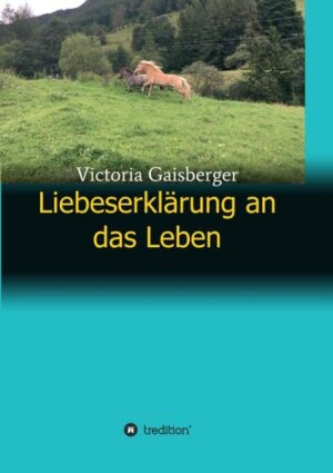 Wie weit kann man auf der Suche nach dem Glück gehen? Bleibt man irgendwann stehen, um einfach nur zufrieden zu sein? Wie hoch ist der Preis, um seine Träume zu verwirklichen? Muss man dazu alles Bekannte hinter sich lassen und einen Neuanfang wagen? Welche Rolle spielt die Liebe dabei? Hält sie uns von unseren Zielen ab oder ist sie die entscheidende Antriebskraft? Auf der Suche nach der Antwort auf diese Fragen, lernt Sarah bis an ihre Grenzen und darüber hinaus zu gehen. Sie lässt alles hinter sich und verändert dadruch nicht nur ihr eigenes Leben, sondern auch das der Menschen, die sie liebt.