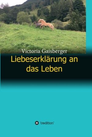 Wie weit kann man auf der Suche nach dem Glück gehen? Bleibt man irgendwann stehen, um einfach nur zufrieden zu sein? Wie hoch ist der Preis, um seine Träume zu verwirklichen? Muss man dazu alles Bekannte hinter sich lassen und einen Neuanfang wagen? Welche Rolle spielt die Liebe dabei? Hält sie uns von unseren Zielen ab oder ist sie die entscheidende Antriebskraft? Auf der Suche nach der Antwort auf diese Fragen, lernt Sarah bis an ihre Grenzen und darüber hinaus zu gehen. Sie lässt alles hinter sich und verändert dadruch nicht nur ihr eigenes Leben, sondern auch das der Menschen, die sie liebt.