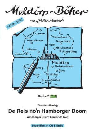 Pienings ›De Reis na’n Hamborger Dom‹ war sein erfolgreichstes Buch. Ohne Zweifel gehört de ›Reis‹ zu unserem ›plattdeutschen Erbe‹, vor allem in Dithmarschen, besonders in Meldorf. Das Buch gehört ›zu den meistgelesenen plattdeutschen Werken des 19. Jahrhunderts‹ (INS Bremen), erlebte bis 1936 21 Auflagen.