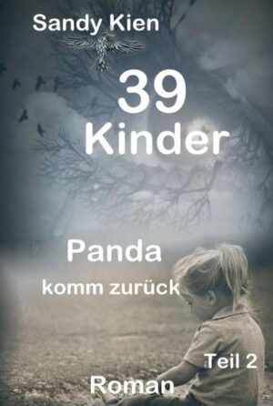 Die Hölle! Panda glaubte sie hinter sich zu haben und muss gerade feststellen, dass es da noch viele unaufgeräumte Ecken und Winkel gibt. Wie eine Irre flieht sie aus dem Tal, aus dem Paradies, welches keines ist. Ihr erstes Ziel … Heim zu Betsy. Doch dort erwartet sie eine Überraschung, die ihr fast die Sicherungen durchknallen lässt und auf dem Weg hinaus … Ein Angriff! Ihre Flucht scheint kein Ende nehmen zu wollen, denn sie muss sich nicht nur vor einem Unbekannten verstecken, sondern bald auch vor der Polizei, die sie wegen eines Verbrechens sucht, welches sie nicht begangen hat. Verdammt, schon damals glaubte ihr niemand, wer sollte es jetzt tun?