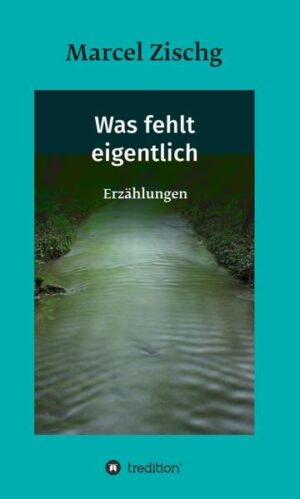 „Der Junge konnte fliegen. Aber er hatte keine Flügel. Er musste nur die Arme ausstrecken und der Wind trug ihn. Er musste nur einen Gedanken fassen, sich vorstellen, wohin er wollte, und die Reise nahm ihren Lauf …“ In zwanzig Kurzgeschichten schildert der Südtiroler Autor Marcel Zischg Beziehungsgeschichten und seelische Konflikte Jugendlicher und junger Erwachsener.