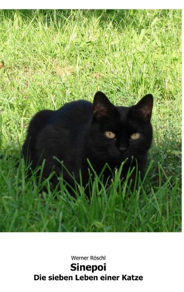 Dies sind die Erfahrungen die ein schwarzer Kater auf seinem Lebensweg in seiner eigenen Sichtweise macht.