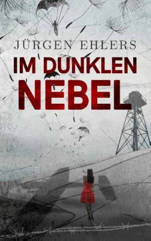 Im dunklen Nebel Liebe und Verrat in den besetzten Niederlanden 1942-43 | Jürgen Ehlers