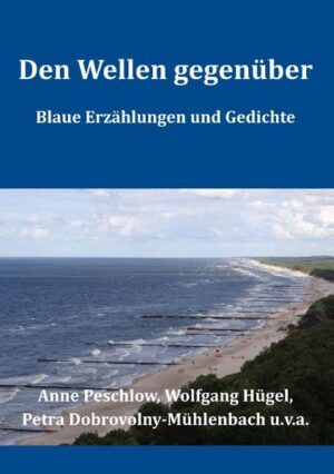 Ein himmelblauer Regenschirm wandert durch die Landschaft. Unendliche Blaulichtkolonnen fahren auf, wenn neue Castoren ins Wendland gebracht werden. Vom blauen Unweg ist die Rede, wie er ins Abseits führt. Von der Farbe der Lügner berichtet eine Erzählung. Über die Wünsche einer Heranwachsenden, ihren Kleidungsstil gibt es einiges zu sagen. Die Sorgen einer Mutter finden sich in diesem Band wieder. Die Erzählungen und Gedichte tangieren allesamt die Farbe Blau, und welche Assoziationen sie auslöst.