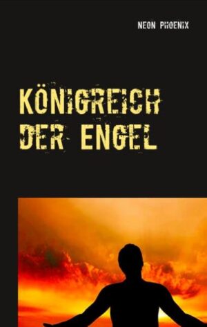 Königreich der Engel, ein spirituelles Buch. Es ist noch viel mehr