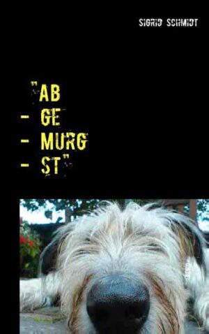 "Ab - ge - Murg - st" Regionalroman | Sigrid Schmidt