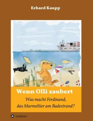 Auf den ersten Blick sieht Olli aus wie ein normaler Junge. In Wirklichkeit ist er ein Kobold. Sein Gesicht ziert eine auffallend große Knubbelnase. Die feuerroten Haare lugen wie vertrocknete Strohhalme unter einem giftgrünen Käppi hervor. Er hat die Gabe, heimliche Wünsche anderer erfüllen zu können. Doch die Sache hat einen Haken! Da Olli noch sehr jung ist und die Schule für angehende Zauberer besucht, hat er längst nicht die magischen Kräfte erfahrener Hexenmeister. So kommt es durchaus vor, dass nicht immer alles so läuft, wie es soll. In dieser Folge war Olli mit einem Ballon unterwegs. In den Schweizer Alpen landete er zufälligerweise mitten auf einer saftig grün bewachsenen Alp. War es etwa ein Wink des Schicksals, dass er hier auf den traurigen Ferdinand traf? Das kleine Murmeltier kam mit zwei unterschiedlich langen Hinterbeinen auf die Welt. Deswegen verspotteten ihn seine Schulkameraden, und sie riefen ihm "Hinkebein" hinterher. „Das geht ja überhaupt nicht, hier musste etwas geschehen!“ Also setzte Olli kurzerhand seine Zauberkraft ein, nahm die Fell-Nase mit auf eine abenteuerliche Reise an die Nordseeküste und brachte das Murmeltier damit, fernab seiner Familie, in Lebensgefahr.