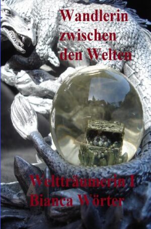 Stellen Sie sich vor, Sie haben von einem Menschen geträumt, den Sie noch nie in Ihrem Leben gesehen haben und am nächsten Tag lernen Sie diesen kennen... Beim 1. Mal glauben Sie noch an einen Zufall. Beim 2. Mal werden Sie unsicher. Beim 3. Mal zweifeln Sie an Ihrem Geisteszustand. Doch Sie erfahren von diesen drei Menschen, dass alles der Realität entspricht! Die Parallelwelt Soma ist mit der Erde durch "Traumtunnel" verbunden, die nur magie begabte Wesen durchschreiten können. Alena ist ein solch magie begabter Mensch. Als sie vor der schweren Entscheidung steht zwischen den Welten zu wandeln, um ihre neu gewonnenen Freunde zu retten, entschließt sie sich für diesen Schritt, der sie schnurstracks in die Hände des Feindes führt. Alena nimmt den Kampf gegen den Tyrannen auf und erfährt ihre wahre Bestimmung.