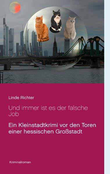 Und immer ist es der falsche Job | Linde Richter