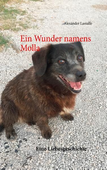 Ein alter, verdreckter und ängstlicher Straßenhund unter einem alten Wohnwagen. Was zunächst wie eine zufällige Begegnung aussieht, entwickelt sich zu einer großen Liebe. Ist es Schicksal oder Vorhersehung? Sechs Monate in Italien, die durch ein unglaubliches Miteinander einer verlorenen Hundeseele und eines einsamen Deutschen geprägt sind. Wird es gelingen, die alte Strassenhündin an einen Menschen zu gewöhnen und sie aus ihrem Elend zu befreien? Ein spannendes Buch über eine unglaubliche Liebesgeschichte zwischen Tier und Mensch.