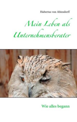 Wir alle haben Träume. Irgendwann beginnen sie, und bei denen, die ihr Leben leben, hören sie nie auf. Vielleicht verschieben sie sich, oder sie wechseln im Laufe der Zeit ihre Intensität. Aber sie enden nicht. An meine Träume als Kind kann ich mich nicht erinnern. Ich weiß nicht mehr, ob ich mit fünf Jahren lieber Polizist oder Feuerwehrmann geworden wäre. Als Jugendlicher träumte ich - wie wahrscheinlich die meisten von uns - von einem cooleren Auftreten, mehr Anerkennung in der Clique. Und natürlich von der hübschen Dunkelhaarigen zwei Klassen unter mir. Dann begannen auch irgendwann die Gedanken über den zukünftigen Beruf. Um mich herum träumten die angehenden Kapitalisten von wenig Arbeit und viel Geld. Die Idealisten von viel Arbeit und wenig Geld. Dann gab es diejenigen mit der glücklichen oder auch unglücklichen Aussicht auf die Übernahme des elterlichen Betriebs. Und wovon träumte ich? Konkret in eine bestimmte Richtung gingen meine Gedanken mit achtzehn, neunzehn, zwanzig Jahren nicht. Ich hatte viele Interessen, war eigentlich nur neugierig auf das, was da kommen würde. Abwechslungsreich sollte das Ganze sein. Fordernd, aber nicht überfordernd. Ein geregeltes Einkommen? Definitiv! Zukunftssicher? Na klar! Karrieremöglichkeiten? Warum nicht! Hätte es unbedingt ein Studium sein müssen? Nein. Ich glaube, auch mit einer "passenden" Ausbildung wäre ich zufrieden im Leben geworden. Doch damals war mit dem Abitur tendenziell der Weg in Richtung Universität vorbelegt. Ohne Studienwunsch wäre man wahrscheinlich nach der Mittleren Reife abgegangen. Heute fast undenkbar. So vergingen knapp zehn Jahre der "Findung", in denen ich mir den Studiengang des Wirtschaftsingenieurs aussuchte, das Studium absolvierte. Um im Anschluss in die Unternehmensberatung einzusteigen. Dieses Buch beschreibt Situationen und Stationen, die mich auf meinem Weg in besonderer Form geprägt haben, mein Menschen-, Unternehmens- und Gesellschaftsbild beeinflussten und erweiterten. Mein Traum vom Unternehmensberater ist immer noch beständig. Nach wie vor glaube ich daran, die Welt Tag für Tag ein kleines bisschen besser machen zu können. Nicht mit unübersichtlichen Excel-Tabellen und langweilenden Powerpoint-Präsentationen. Sondern gemeinsam mit den handelnden Menschen in den Projekten und Unternehmen. Vielleicht laufen wir uns dabei irgendwann einmal über den Weg. Ich würde mich freuen!