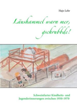 Kriegsruinen und Eisenbahnbrücken, alte Flakstellungen und Eisenbahn- Friedhöfe, die Faszination der Bunker und Lager in hohlen Bäumen, echte Freunde und schlimme Streiche, die Amerikaner in der Stadt und Vieles mehr: Eine heitere Reise durch eine nicht immer einfache Zeit. Ein kindlicher Streifzug durch eine ehemals "graue Industrie- Stadt", die sich im Lauf der Jahre zur liebenswerten, grünen Erlebnis- Stadt gewandelt hat... ...eine Liebeserklärung an Schweinfurt!