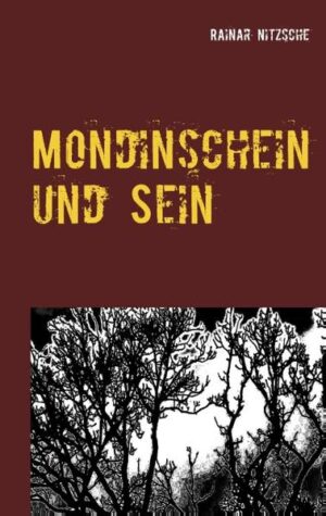 Und weiter geht unsere Reise durch fantastische Nachtwelten. Wandelten wir in den Geschichten der ersten beiden Bände der Mondintrilogie noch halbwegs auf festem Boden, so heben wir nun gänzlich ab in die Traumgefilde von Märchen und Anderswelten. Ja, dorthin träumen wir uns, nach irgendwo und irgendwann. Und kehren nie mehr zurück? Die Kapitel: Prolog im Park, Noch Mensch? - Noch Mensch!, Irgendanderswo, Traumprogramm, Keine Mondin, Wie alles begann.