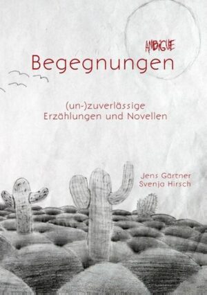 21 Erzählungen und Novellen von zwei Autoren*. Auf der einen Straßenseite schaut eine gebrochene, junge Frau in das Fenster des Mannes, der den Krieg in Srebrenica als Opfer und Täter überlebt hat. Wird er möglicherweise gerade von zwei Frauen ermordet... Oder doch nicht? Nach der gemeinsamen Auftaktstory der Autoren folgen 20 Erzählungen, in denen Begegnungen und die hieraus entstehenden Beziehungen lebensverändernd wirken. Mit Humor und Zweideutigkeit, manchmal politisch untermalt, dann wieder ganz alltäglich. Es geht um Sehnsucht, Schuld, Trugbilder, Rache, Verzweiflung, Lust, Emanzipation, Wahrnehmungsstörungen und ab und zu auch einfach um schöne und berührende Erlebnisse. Immer bleibt es mehrdeutig, ambig, und etwas Neues im Erzählen entsteht. In den Erzählungen von Jens Gärtner und Svenja Hirsch bricht in den Alltag durch Begegnungen oftmals der Wahnsinn ein. Unverhofft, und manchmal ganz und gar unwirklich. Wenn zwei Autoren aus verschiedenen Perspektiven schreiben, taucht der Leser in ein breites Spektrum und Facettenreichtum ein. Doch was kann real sein und was ist nur ein Hirngespinst?