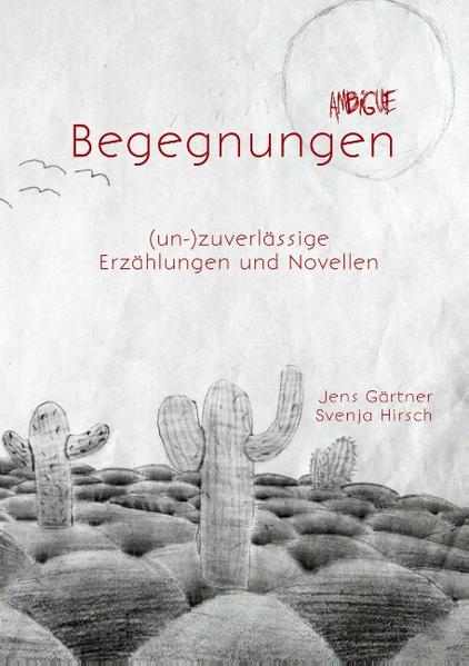 21 Erzählungen und Novellen von zwei Autoren*. Auf der einen Straßenseite schaut eine gebrochene, junge Frau in das Fenster des Mannes, der den Krieg in Srebrenica als Opfer und Täter überlebt hat. Wird er möglicherweise gerade von zwei Frauen ermordet... Oder doch nicht? Nach der gemeinsamen Auftaktstory der Autoren folgen 20 Erzählungen, in denen Begegnungen und die hieraus entstehenden Beziehungen lebensverändernd wirken. Mit Humor und Zweideutigkeit, manchmal politisch untermalt, dann wieder ganz alltäglich. Es geht um Sehnsucht, Schuld, Trugbilder, Rache, Verzweiflung, Lust, Emanzipation, Wahrnehmungsstörungen und ab und zu auch einfach um schöne und berührende Erlebnisse. Immer bleibt es mehrdeutig, ambig, und etwas Neues im Erzählen entsteht. In den Erzählungen von Jens Gärtner und Svenja Hirsch bricht in den Alltag durch Begegnungen oftmals der Wahnsinn ein. Unverhofft, und manchmal ganz und gar unwirklich. Wenn zwei Autoren aus verschiedenen Perspektiven schreiben, taucht der Leser in ein breites Spektrum und Facettenreichtum ein. Doch was kann real sein und was ist nur ein Hirngespinst?